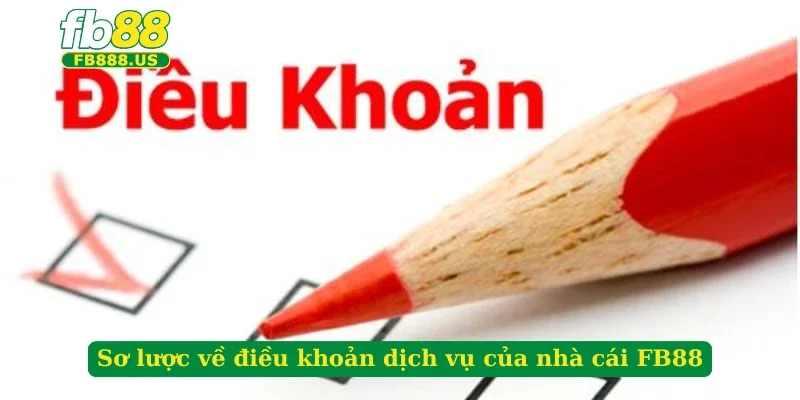 so-luoc-ve-dieu-khoan-dich-vu-cua-nha-cai-fb88