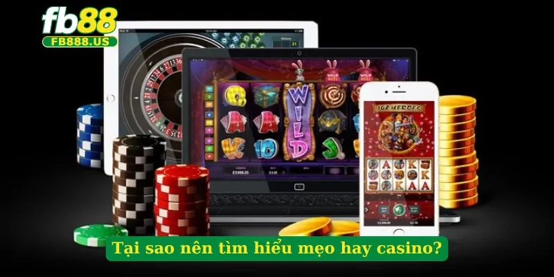 tai-sao-nen-tim-hieu-meo-hay-casino